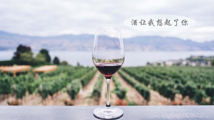 寂寞孤独酒一杯图片