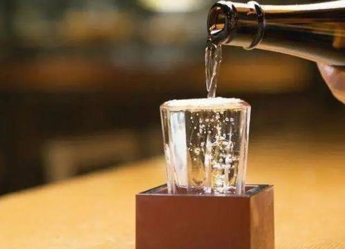 固态酒和液态酒哪个好 一场风味与工艺的较量