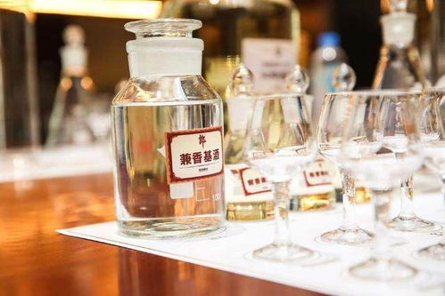 陈宝国代言顺品郎,现场高喊雄起