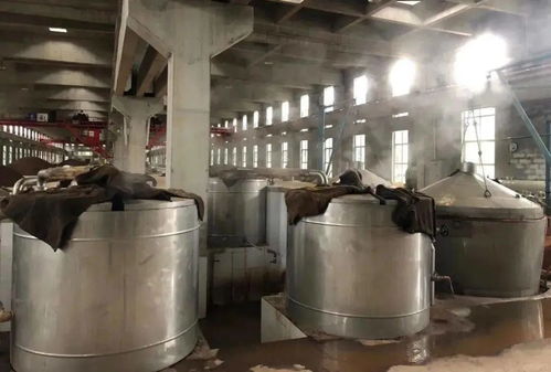 钓台御品礼宾酒品鉴晚宴六月与您相伴5城 典雅醇香,回味悠长