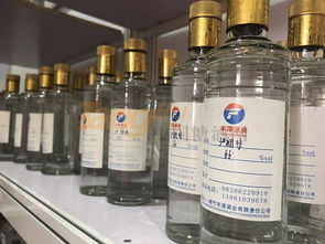 四川绵竹丰淳酒业在第十三届全国食品博览会上的精彩画面