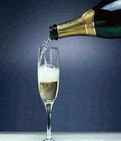 香槟汽泡酒图册