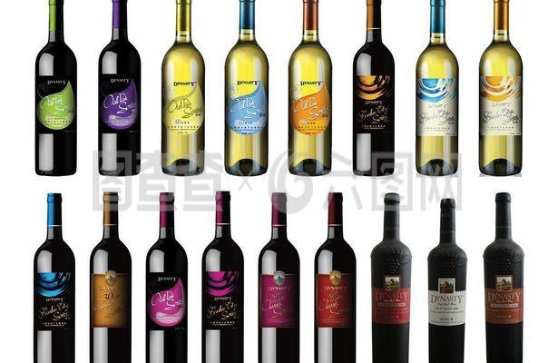 王朝酒新产品图片