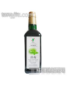 调味魔饮师薄荷味果味浓浆招商 广州市白云区健宇食品厂 糖酒网tangjiu.com