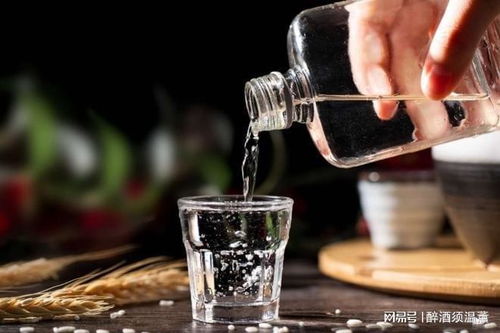 特宠粉的几款亲民粮食酒,快带回家尝一尝吧