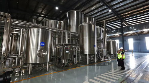 年灌装成品酒1.45万吨 雪树七日鲜 下线